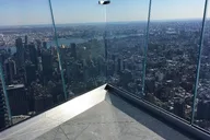 New York City Dog Lovers Walking Tour thumbnail 5