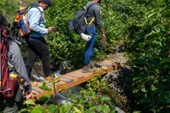 Juneau Mendenhall Glacier Guided Hike 6 hr thumbnail 4