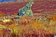 Fairbanks Arctic Circle Adventure Full-Day Tour thumbnail 4