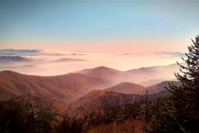 Smoky Mountains Fall Color Tour - Image 6