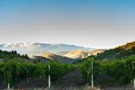 Apple Hill and Carson Road Wine Tasting Pass thumbnail 3