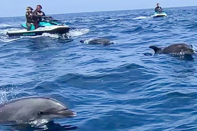 Long Beach Jetski Tour to Catalina Island - Image 2