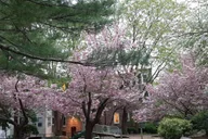 Boston Walking and Driving Tour thumbnail 4