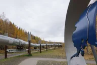 Fairbanks City Highlights Tour with Museum Entry thumbnail 4