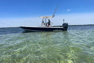 Panama City Beach Dolphin and Eco Tour
