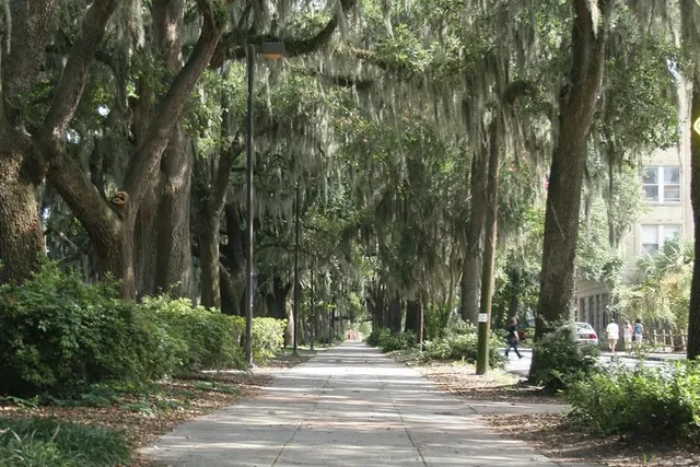 Savannah Walking Tour of Midnight in the Garden of Good and Evil - Image 2