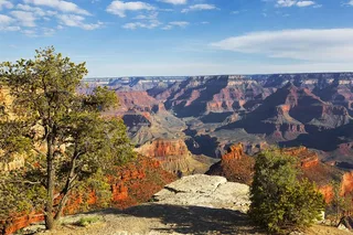 Phoenix Grand Canyon Day Tour