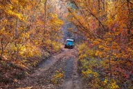 East Zion Jeep Tour Brushy Cove 90 min thumbnail 6