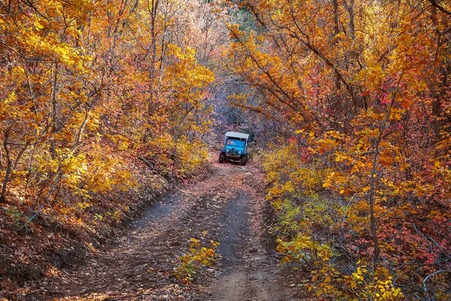 East Zion Jeep Tour Brushy Cove 90 min - Image 6