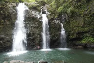 Maui Road to Hana Private Tour thumbnail 2