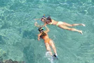 Hilo Snorkeling Tour with Nature Walk thumbnail 3