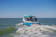 Madeira Beach Dolphin Sightseeing Cruise 1 hr thumbnail 5