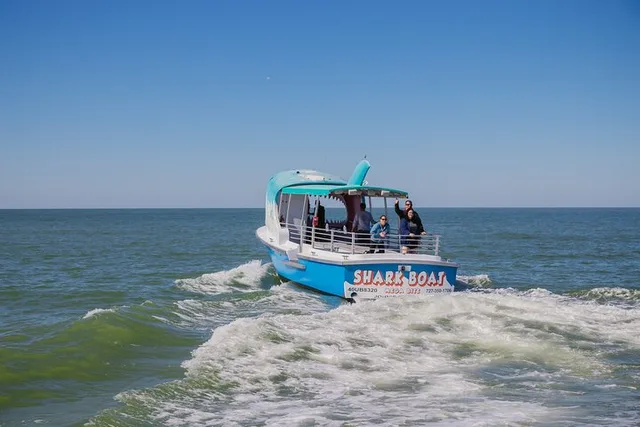 Madeira Beach Dolphin Sightseeing Cruise 1 hr - Image 5