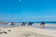 Miami Beach Horse Ride and Nature Trail thumbnail 1