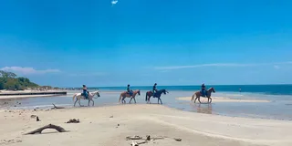 Miami Beach Horse Ride and Nature Trail