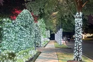 Dallas Holiday Lights Tour Highland Park thumbnail 2