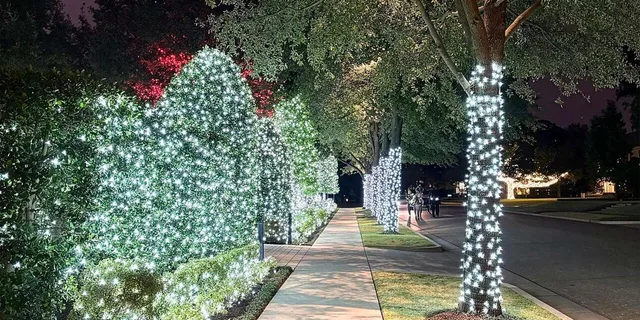 Dallas Holiday Lights Tour Highland Park - Image 2