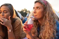 Orlando Picnic Experience thumbnail 5