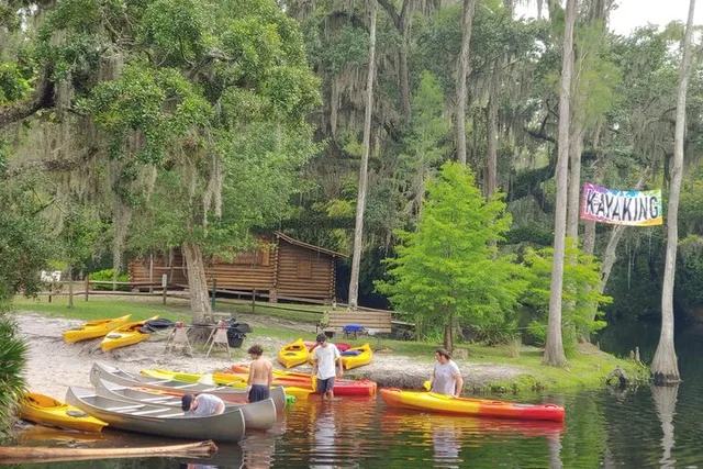 Cypress Forest Nature Kayak Eco-Tour - Image 6