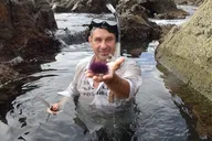 Los Angeles Snorkeling Tour thumbnail 1