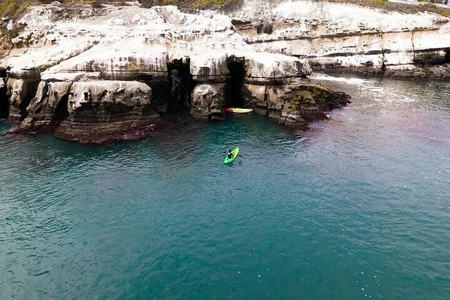 La Jolla Sea Caves Kayak Tour - Image 5