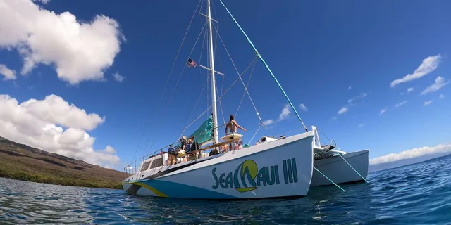 Maui Snorkel Tour from Ka'anapali Beach - Image 2