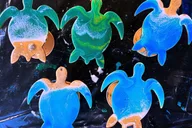 Paia Ornament Art Experience thumbnail 2