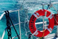 Key West Reef Snorkel & Sail Adventure thumbnail 6