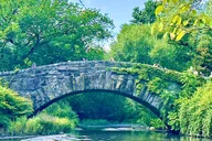 New York City Movie Locations Tour in Central Park thumbnail 5