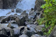 Skagway Waterfall Tour thumbnail 2