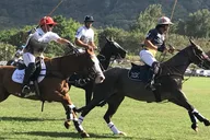 Honolulu Polo Game and Island Tour thumbnail 1