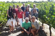 Napa and Sonoma Private Wine Tour thumbnail 4