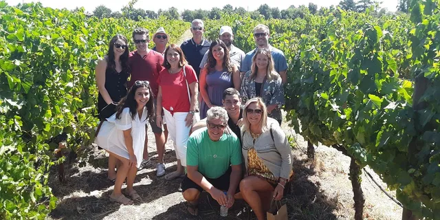 Napa and Sonoma Private Wine Tour - Image 4