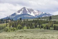 Yellowstone Indian Creek Naturalist Day Hike thumbnail 1