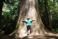 Gatlinburg Old Growth Forest Hike thumbnail 1