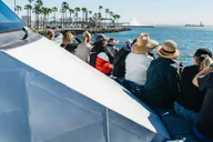Long Beach Whale Watching Cruise thumbnail 2