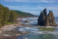 Seattle Hoh Rain Forest and Rialto Beach Tour thumbnail 4