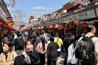 Tokyo Day Tour Shibuya, Asakusa, Meiji Shrine thumbnail 2