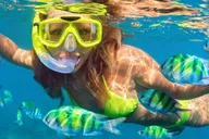 Destin Snorkeling and Dolphin Cruise 2.5 hr thumbnail 4
