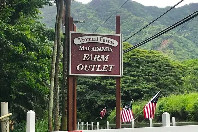 Oahu Hawaiian Culture Private Tour - Image 4