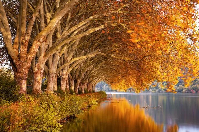 New York City Fall Foliage Cruise - Image 3