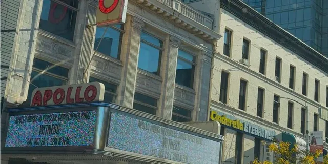 New York Contrasts Tour Harlem to Brooklyn 5 hr - Image 6