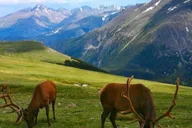 Estes Park Bear Lake Corridor Photography Tour 3 hr thumbnail 2
