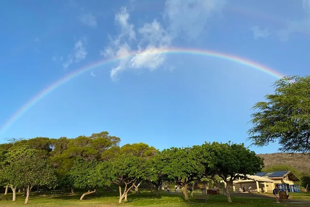 Oahu Island Experience with Diamond Head Hike - Image 6