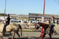 Fort Worth Heritage and Landmarks Open-Air Tour 3 hr thumbnail 3