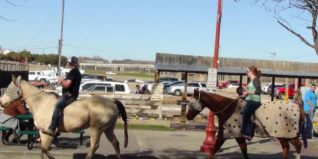 Fort Worth Heritage and Landmarks Open-Air Tour 3 hr - Image 3