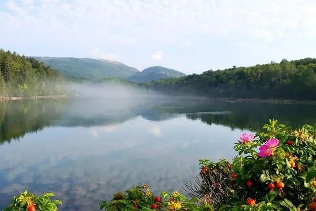 Bar Harbor Acadia Tour with Somes Sound & Villages 3 hr - Image 3