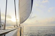 Marina Del Rey Sailing Tour with Gourmet Cuisine thumbnail 1