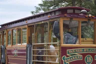 Ketchikan Totem Pole and Wildlife Trolley Tour 2 hr thumbnail 1