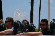 Miami Convertible Bus Sightseeing Tour (French) 3 hr thumbnail 3